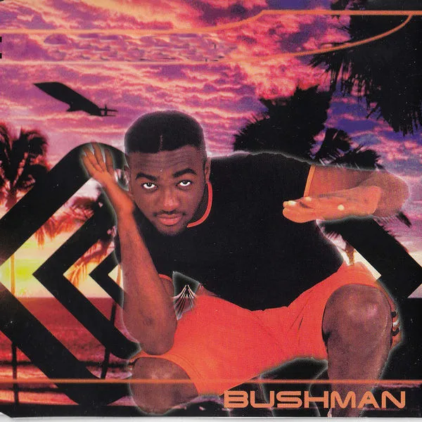 Обложка цифрового издания Bushman - No 1 Else
