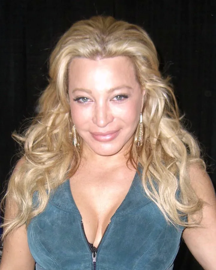 Singer and actress Taylor Dayne at the Big Apple Convention. Categories: Taylor Dayne; 2009 Big Apple Convention