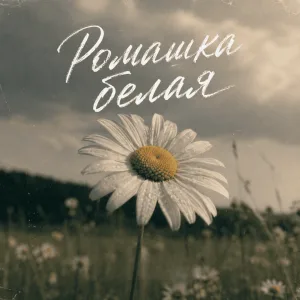 Обложка трека «Ромашка белая» - Disco Magic & valex77